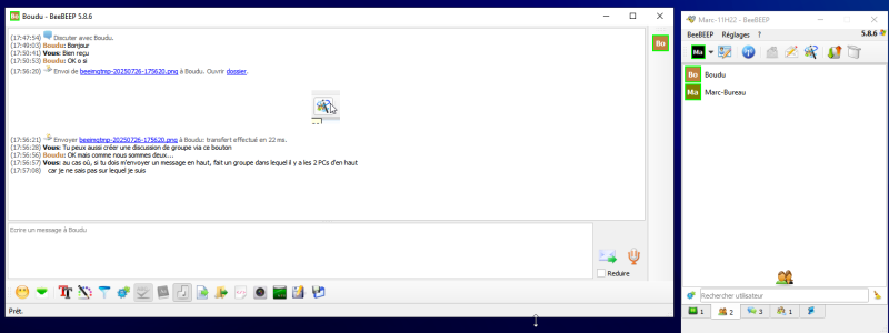 Fichier:BeeBeep - Utilisation 1.png